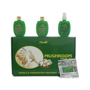 Silver6 Mushroom Facial Kit for Men &  Women