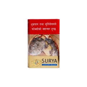 Surya Luxury Blue Lights 20's