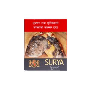 Surya Legend 20's