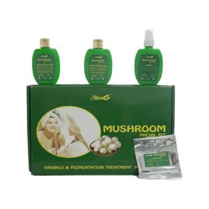 Silver6 Mushroom Facial Kit for Men &  Women
